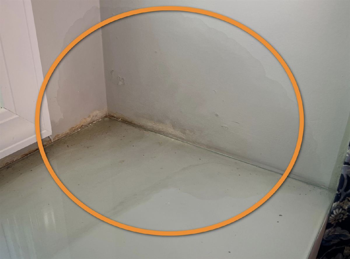 Water staining on a wall and floor at an inside corner, circled in orange